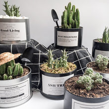 Load image into Gallery viewer, Iron Black Pot