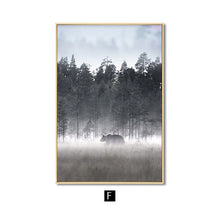 Load image into Gallery viewer, Natural Life Wall Art Canvas