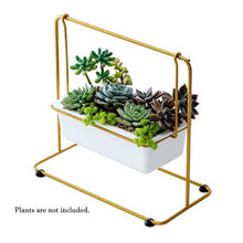 Load image into Gallery viewer, Ceramic Pot