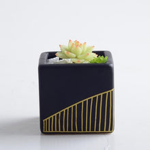 Load image into Gallery viewer, Matte Pot
