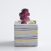 Load image into Gallery viewer, Matte Pot
