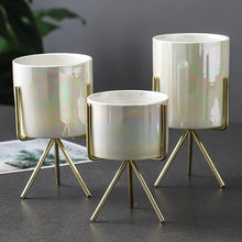 Load image into Gallery viewer, Ceramic Pot
