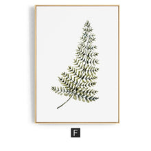 Load image into Gallery viewer, Green Leaf Wall Art Canvas
