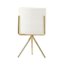 Load image into Gallery viewer, 1 Set Pot
