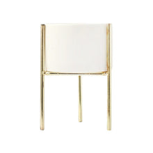 Load image into Gallery viewer, Black Iron,White Pot
