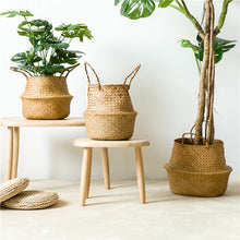 Load image into Gallery viewer, Wacker Pot
