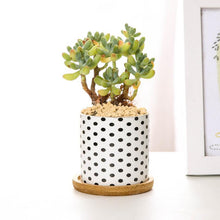 Load image into Gallery viewer, Geometric Modern Pot
