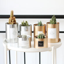 Load image into Gallery viewer, Silver and Golden Pot
