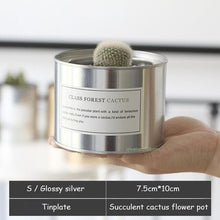 Load image into Gallery viewer, Silver and Golden Pot
