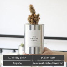 Load image into Gallery viewer, Silver and Golden Pot
