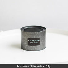 Load image into Gallery viewer, Silver and Golden Pot
