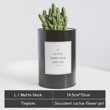 Load image into Gallery viewer, Silver and Golden Pot
