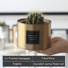 Load image into Gallery viewer, Silver and Golden Pot
