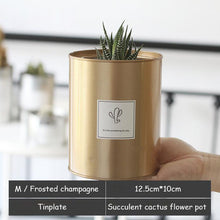 Load image into Gallery viewer, Silver and Golden Pot
