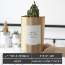 Load image into Gallery viewer, Silver and Golden Pot
