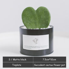 Load image into Gallery viewer, Silver and Golden Pot
