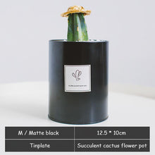 Load image into Gallery viewer, Silver and Golden Pot
