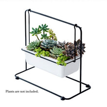 Load image into Gallery viewer, Ceramic Pot
