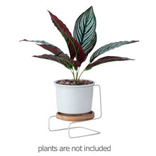 Load image into Gallery viewer, Orijinal Design Pot
