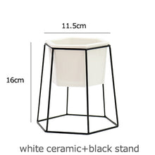 Load image into Gallery viewer, Geometric Pot
