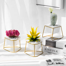 Load image into Gallery viewer, Geometric Ceramic Pot
